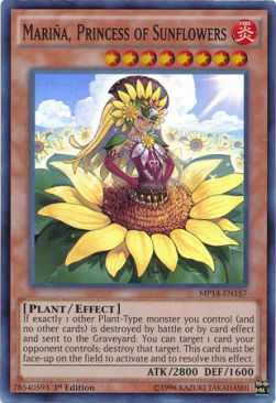 Mariña, Princess of Sunflowers Card Front