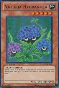 Naturia Hydrangea Card Front