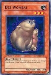 Des Wombat Card Front