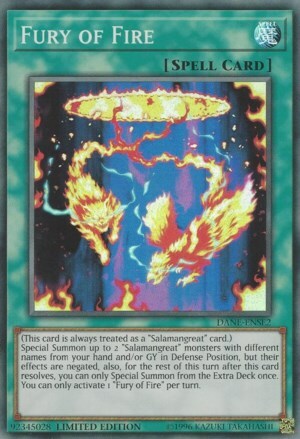 Fury of Fire Card Front