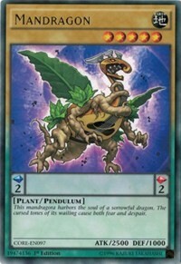 Mandragon Card Front