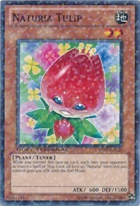 Naturia Tulip Card Front