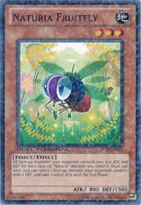 Naturia Fruitfly Card Front