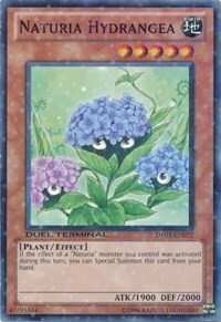 Naturia Hydrangea Card Front