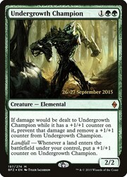 Undergrowth Champion