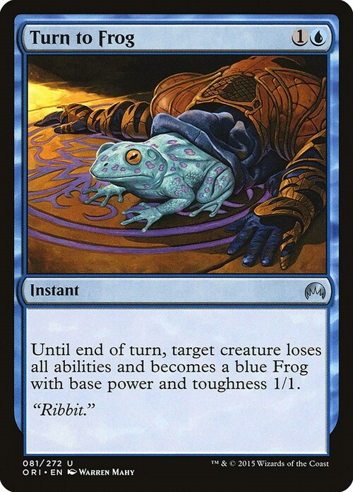 Turn to Frog Card Front